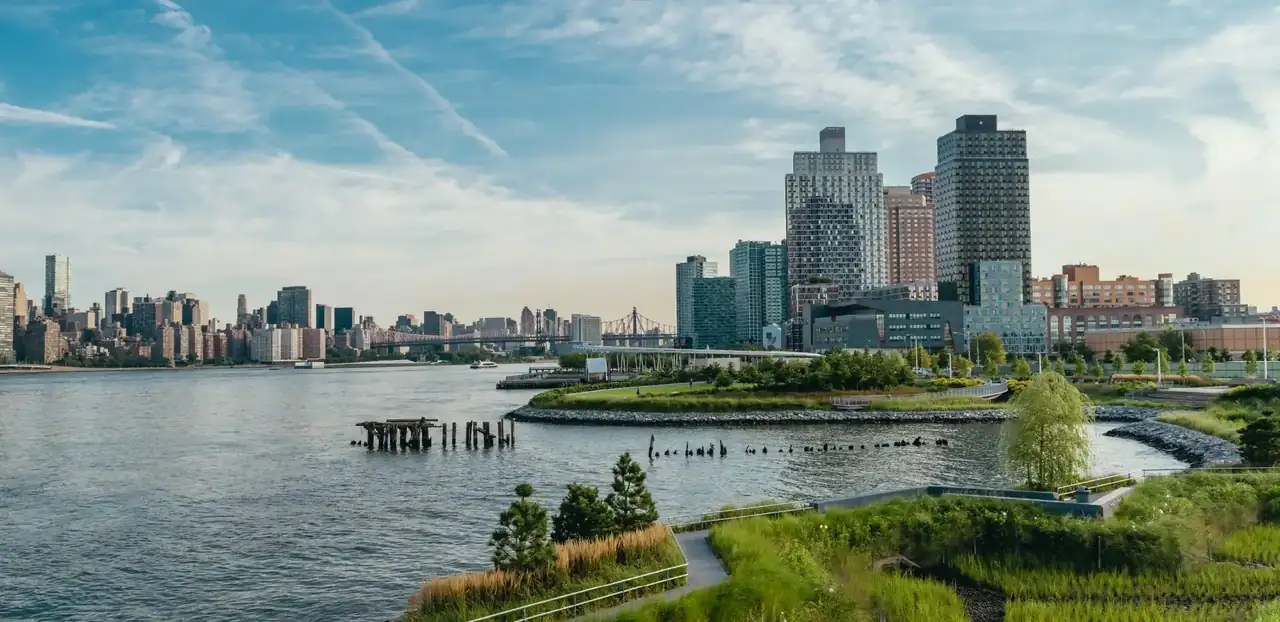 The Manhattan skyline across the East River, the banner of the practice's own website.