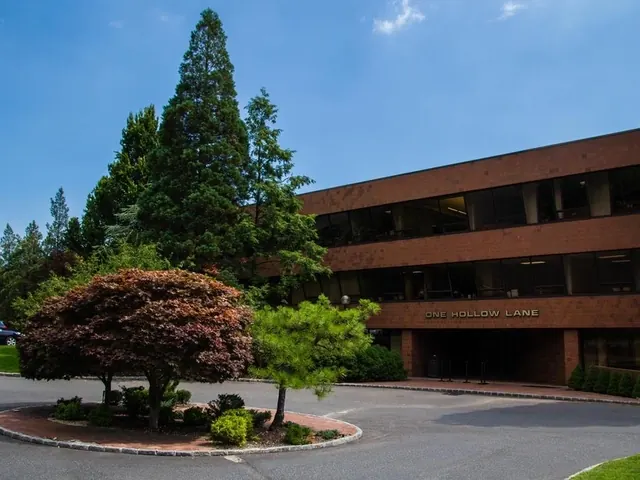 One Hollow Lane, Lake Success, the brick office building the practice is in.