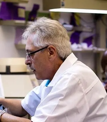 Technicians at their benches in the in-house laboratory.